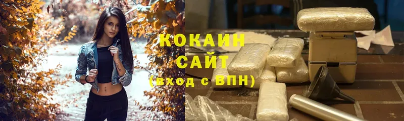 купить наркоту  Вытегра  COCAIN Fish Scale 