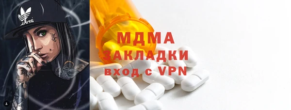ГАЛЛЮЦИНОГЕННЫЕ ГРИБЫ Козловка