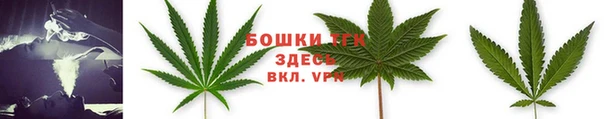 соль ск Медвежьегорск