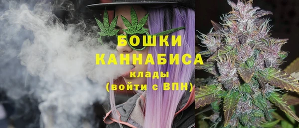 соль ск Медвежьегорск