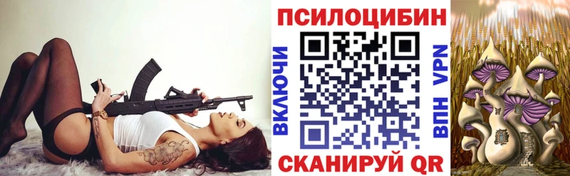 наркотики  Вытегра  Галлюциногенные грибы прущие грибы 