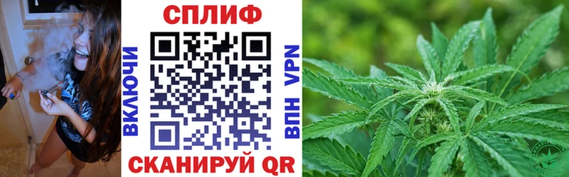 Бошки Шишки VHQ  закладка  Вытегра 